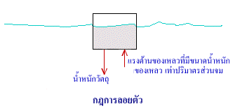 µ