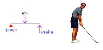 คานวัดชนิดที่ 3